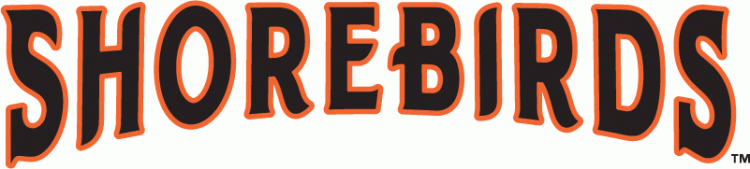 Delmarva Shorebirds 2010-Pres Wordmark Logo iron on transfers for T-shirts